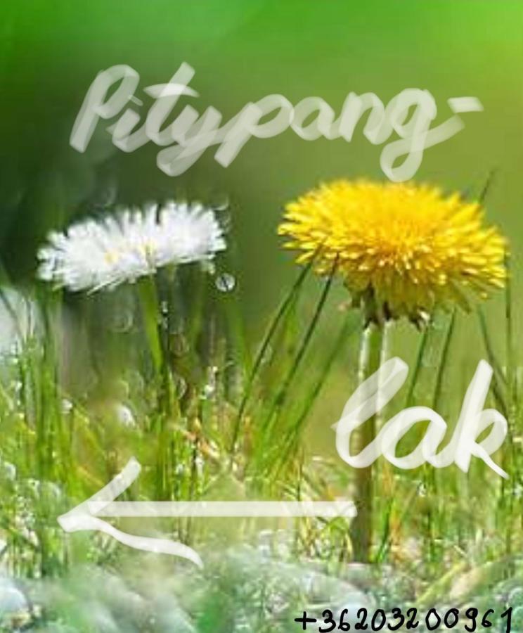 Апартаменты Pitypang Lak Сигетмоноштор Экстерьер фото